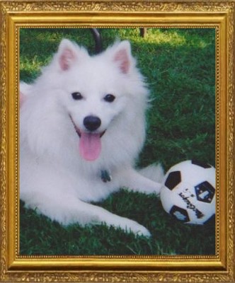 Chinook Coombs 2000-2016